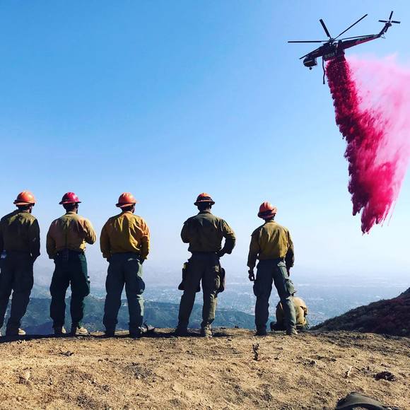 Meet your Posher, Cody - Picture 1 of 1